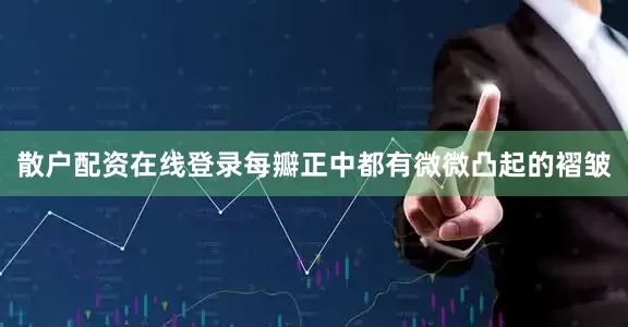 散户配资在线登录每瓣正中都有微微凸起的褶皱