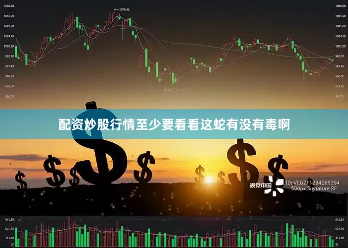 配资炒股行情至少要看看这蛇有没有毒啊