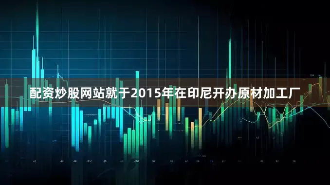 配资炒股网站就于2015年在印尼开办原材加工厂